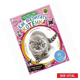 Как воспитать котёнка