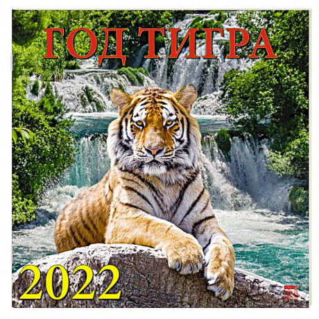 Фото 2022 Календарь Год тигра
