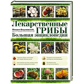 Лекарственные грибы. Большая энциклопедия