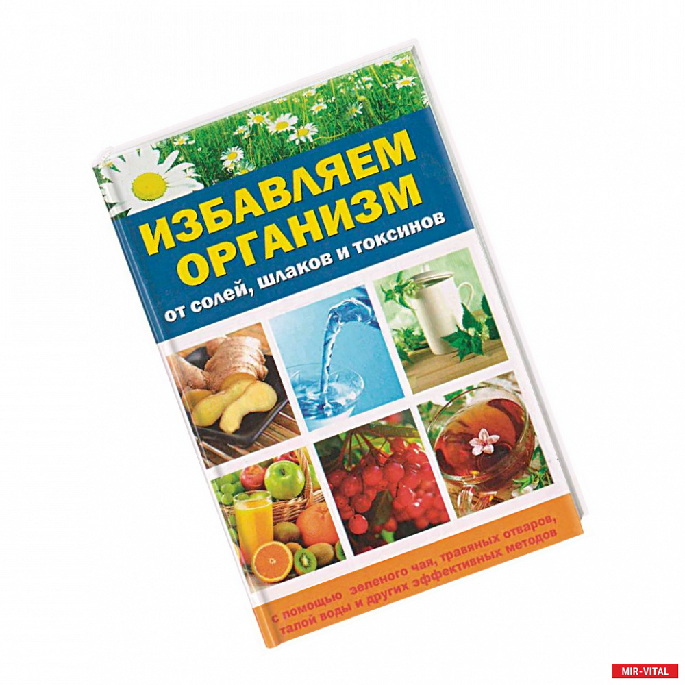 Фото Избавляем организм от солей, шлаков и токсинов с помощью зеленого чая, травяных отваров, талой воды и других