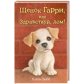 Щенок Гарри, или Здравствуй, дом!