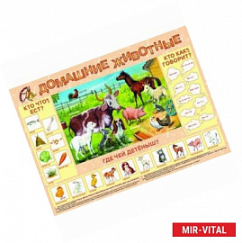 Домашние животные. Плакат