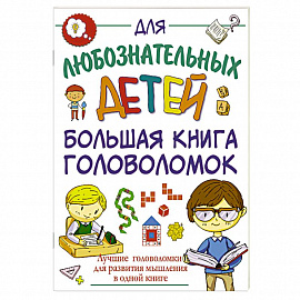 Большая книга головоломок