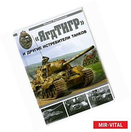 ЯгдТИГР' и другие истребители танков