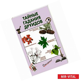 Тайные гадания друидов