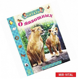 От мышки до слона