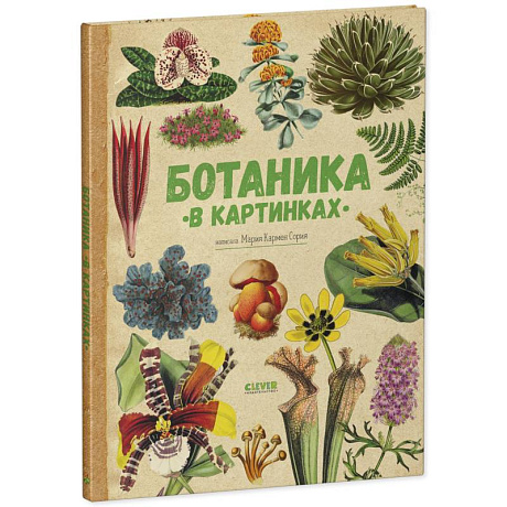 Фото Ботаника в картинках