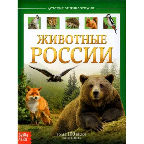 Фото Детская энциклопедия «Животные России»