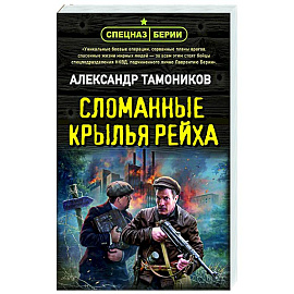 Сломанные крылья рейха