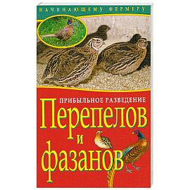 Прибыльное разведение перепелов и фазанов