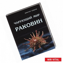 Чарующий мир раковин