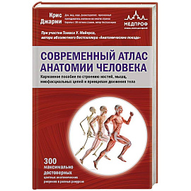 Современный атлас анатомии человека. Карманное пособие по строению костей, мышц, миофасциальных цепей и принципам движения тела