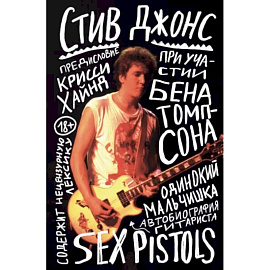 Одинокий мальчишка. Автобиография гитариста Sex Pistols