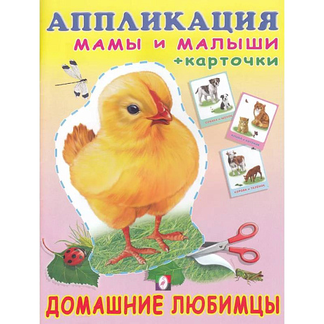 Фото Домашние любимцы