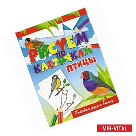 Птицы