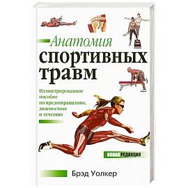 Анатомия спортивных травм
