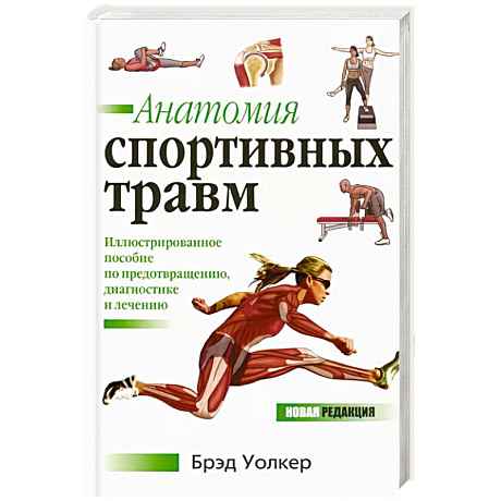 Фото Анатомия спортивных травм