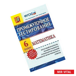 Математика. 6 класс. Промежуточное тестирование