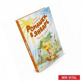 Ромашки в январе