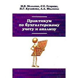 Практикум по бухгалтерскому учету и анализу