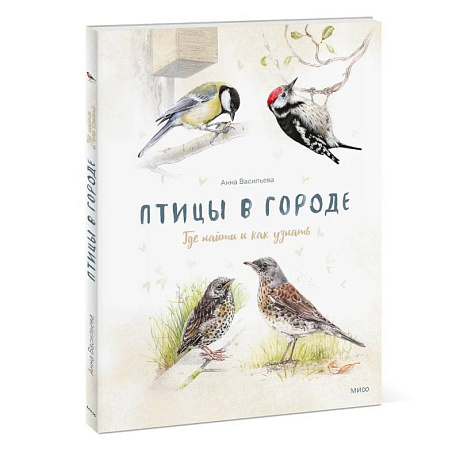 Фото Птицы в городе. Где найти и как узнать