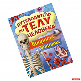 Путеводитель по телу человека.Вопросы и ответы