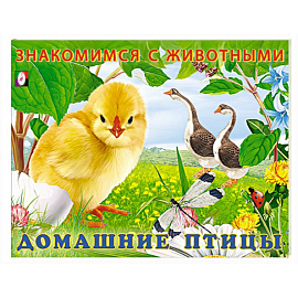 Домашние птицы
