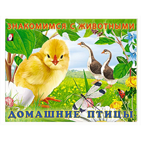 Фото Домашние птицы