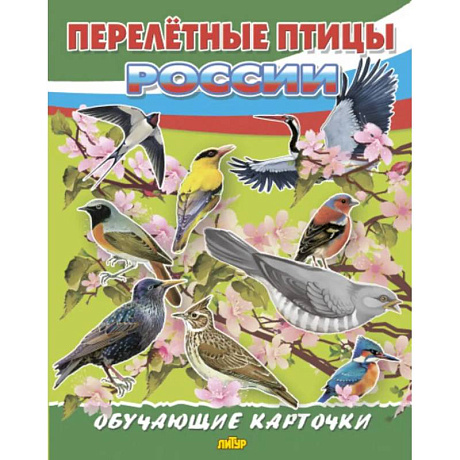 Фото Перелетные птицы России