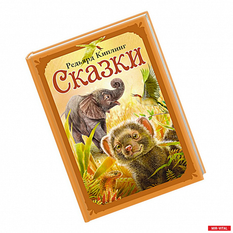 Фото Сказки