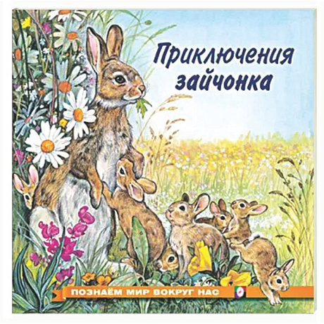 Фото Приключения зайчонка