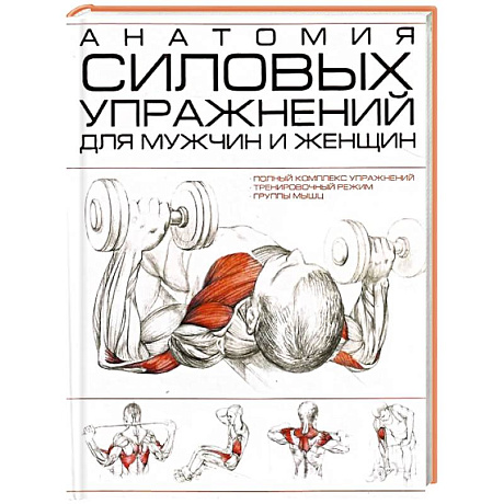 Изображение Анатомия силовых упражнений для мужчин и женщин Фото Анатомия силовых упражнений для мужчин и женщин