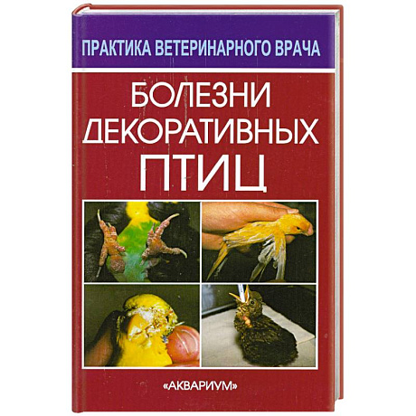 Фото Болезни декоративных птиц