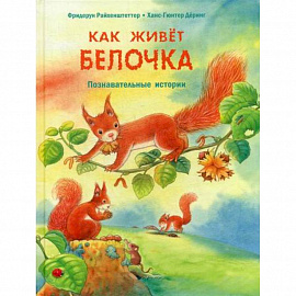 Как живет белочка
