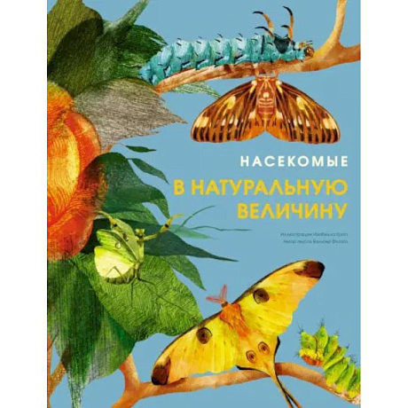 Фото Насекомые в натуральную величину