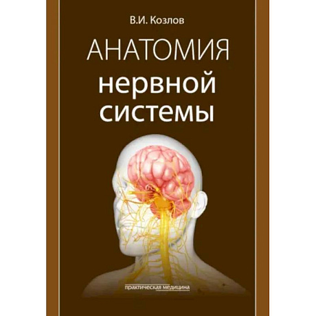 Фото Анатомия нервной системы: учебное пособие