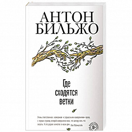 Где сходятся ветки