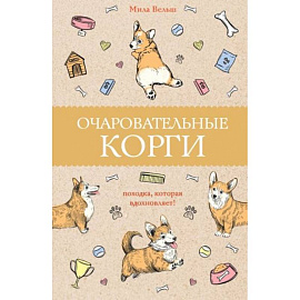 Очаровательные корги: походка, которая вдохновляет!