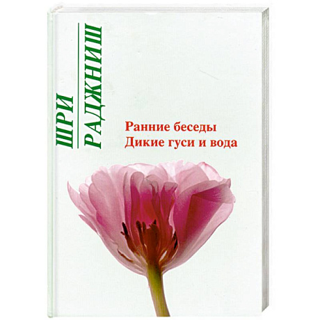 Фото Ранние беседы. Дикие гуси и вода