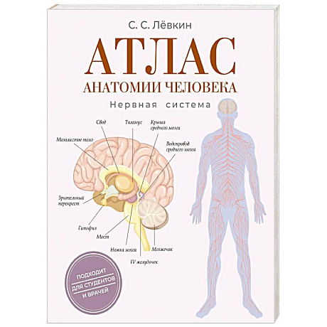Фото Атлас анатомии человека. Нервная система