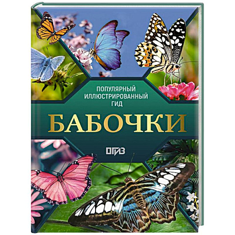 Фото Бабочки. Иллюстрированный гид