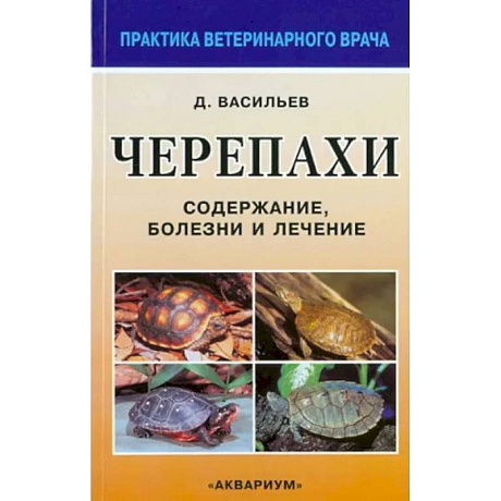 Фото Черепахи. Содержание, болезни и лечение