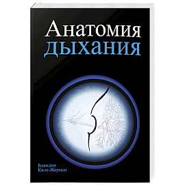 Анатомия дыхания