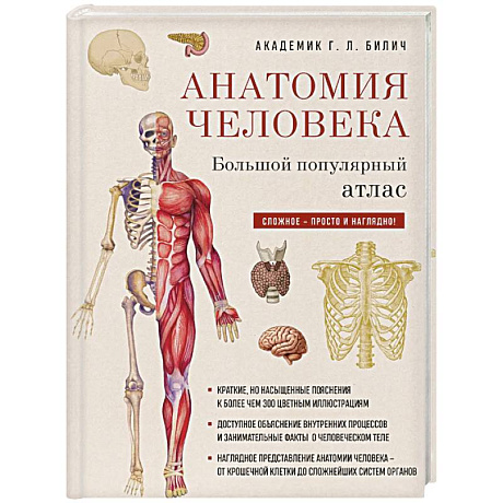 Фото Анатомия человека: большой популярный атлас