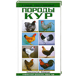 Самые популярные породы кур