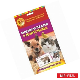 Домашние питомцы