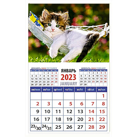 Фото Календарь Год кота. Отдых в гамаке на 2023 год