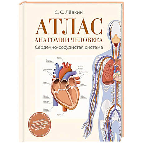 Фото Атлас анатомии человека. Сердечно-сосудистая система