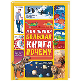 Моя первая большая книга ПОЧЕМУ