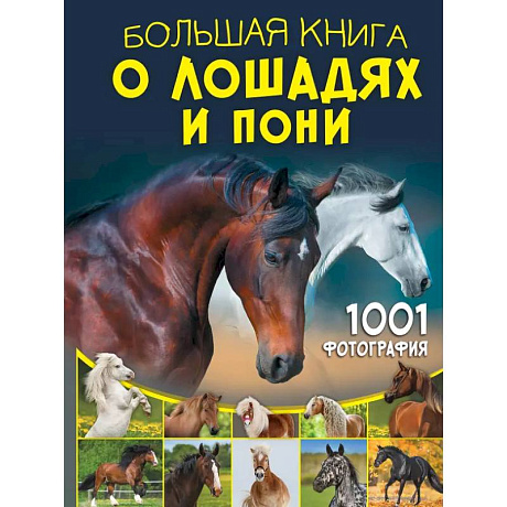 Фото Большая книга о лошадях и пони. 1001 фотография